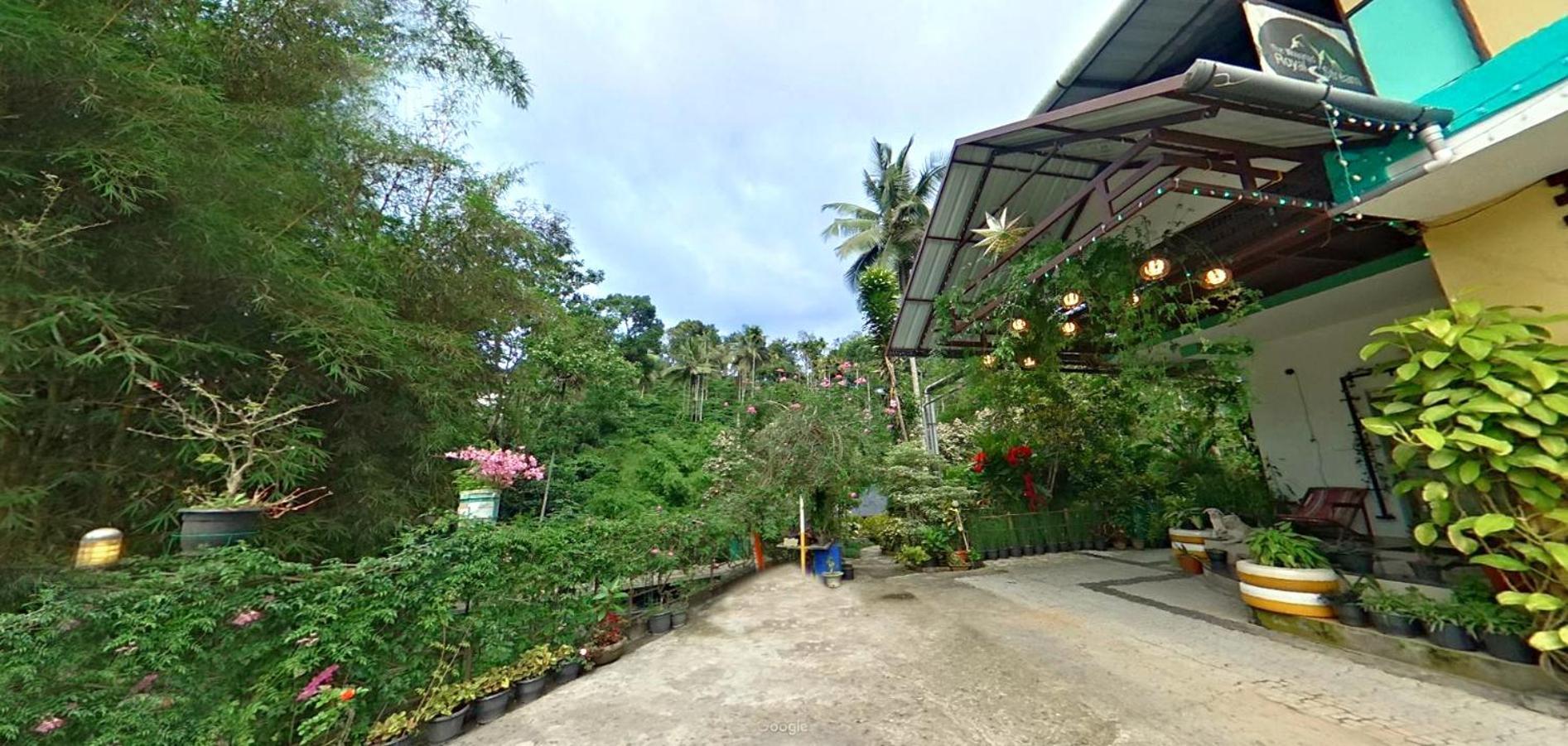 Wayanad Royal Stream Bed & Breakfast Kalpatta Dış mekan fotoğraf