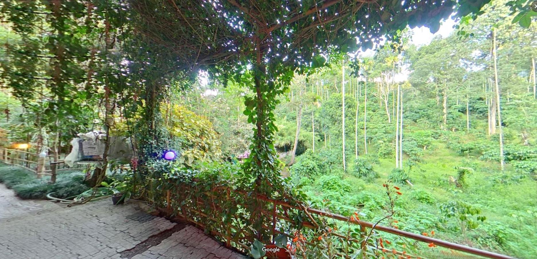 Wayanad Royal Stream Bed & Breakfast Kalpatta Dış mekan fotoğraf
