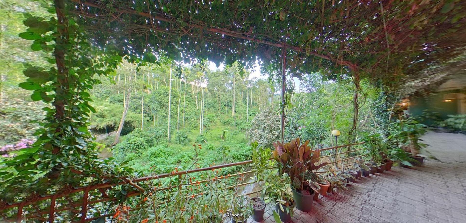 Wayanad Royal Stream Bed & Breakfast Kalpatta Dış mekan fotoğraf