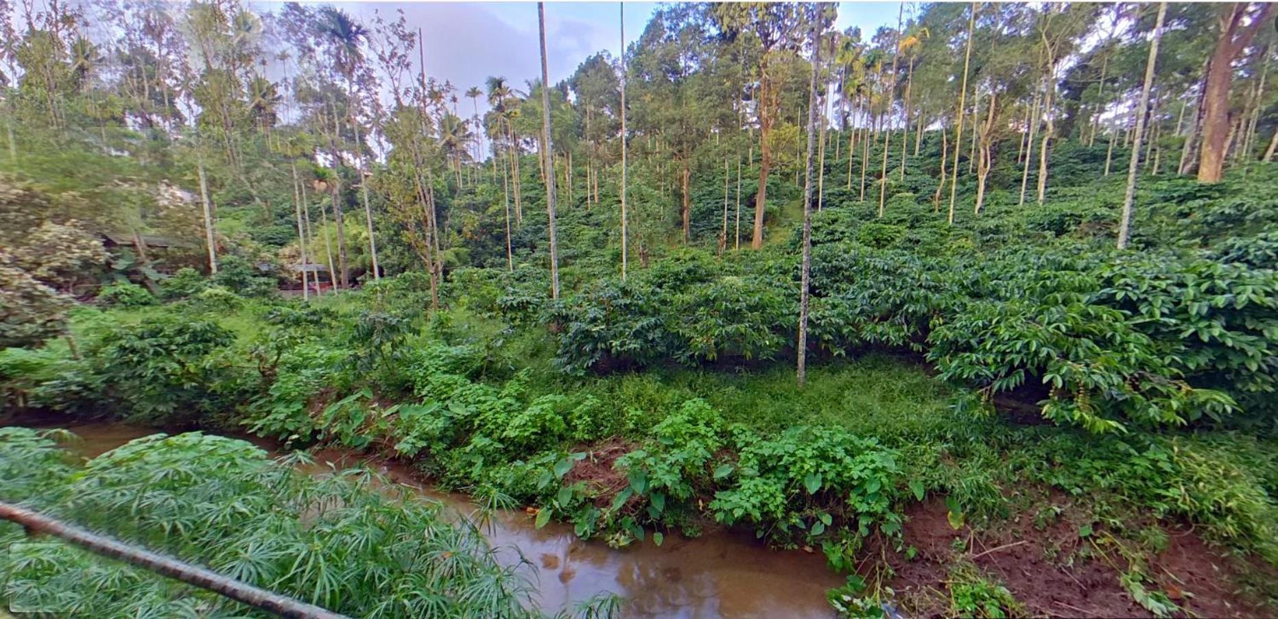 Wayanad Royal Stream Bed & Breakfast Kalpatta Dış mekan fotoğraf