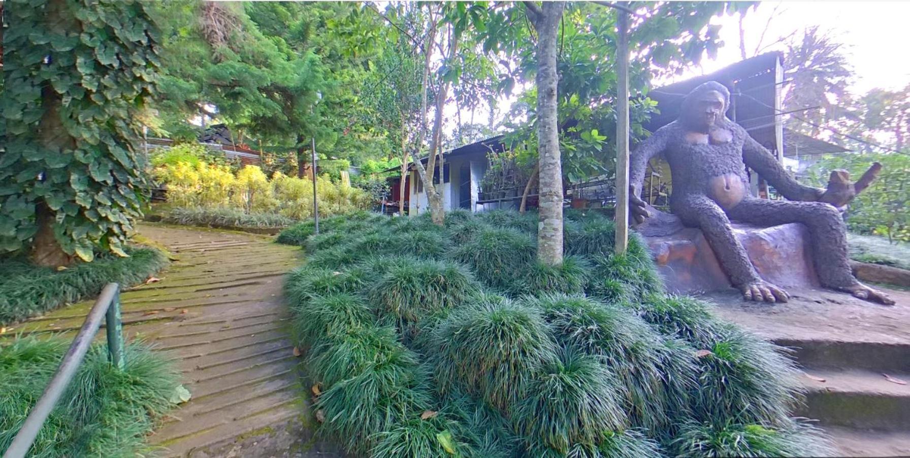 Wayanad Royal Stream Bed & Breakfast Kalpatta Dış mekan fotoğraf