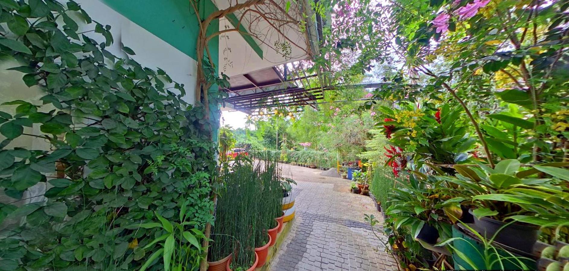 Wayanad Royal Stream Bed & Breakfast Kalpatta Dış mekan fotoğraf
