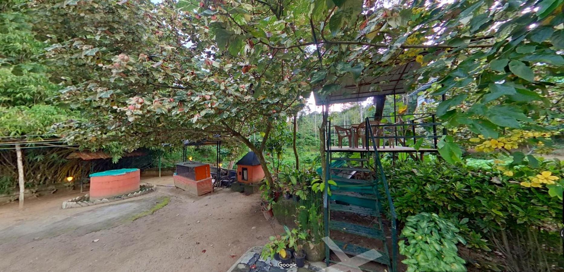 Wayanad Royal Stream Bed & Breakfast Kalpatta Dış mekan fotoğraf