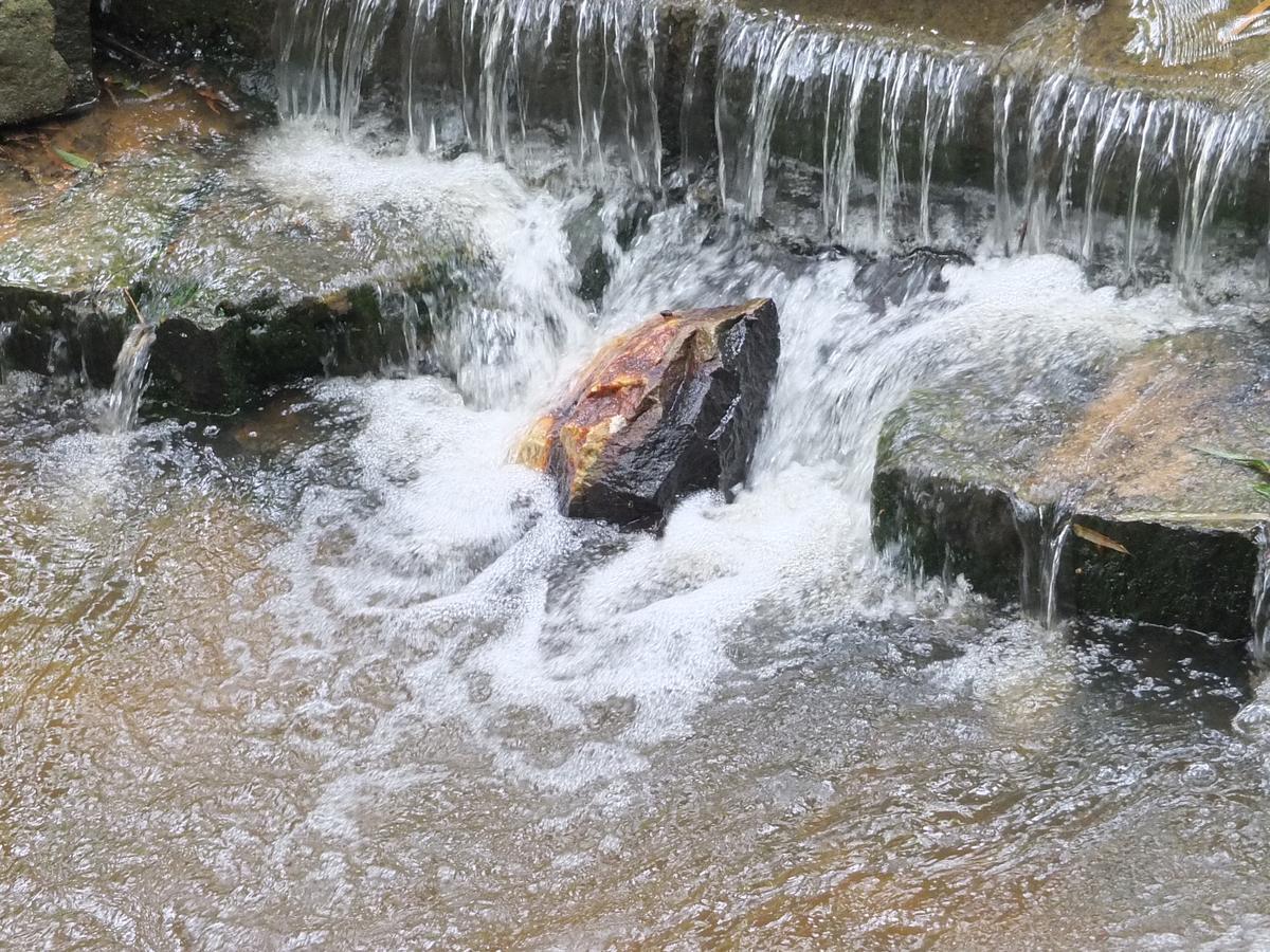 Wayanad Royal Stream Bed & Breakfast Kalpatta Dış mekan fotoğraf